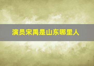 演员宋禹是山东哪里人,宋禹辰个人资料