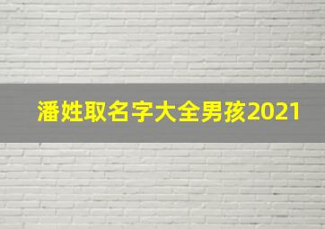 潘姓取名字大全男孩2021,潘姓男孩名字