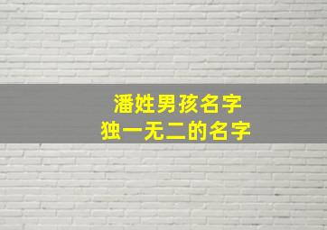 潘姓男孩名字独一无二的名字,潘姓男孩名字大全 楚辞