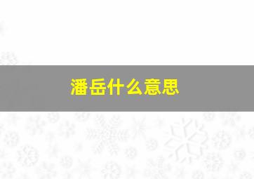 潘岳什么意思,潘岳何许人也