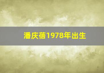 潘庆蓓1978年出生,潘庆松简历