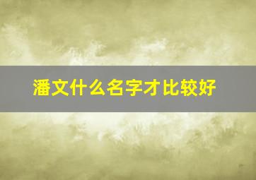 潘文什么名字才比较好