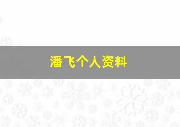 潘飞个人资料