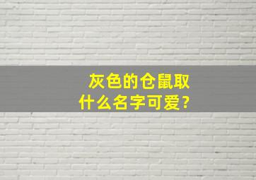 灰色的仓鼠取什么名字可爱？,灰色的仓鼠名字怎么取