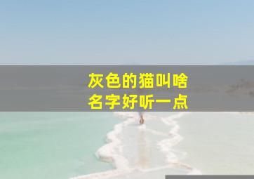 灰色的猫叫啥名字好听一点,灰色的猫叫什么名字有意义