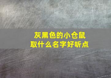 灰黑色的小仓鼠取什么名字好听点,灰黑色的小仓鼠取什么名字好听点呢