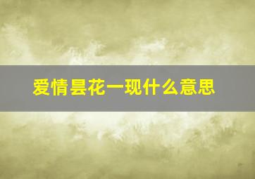 爱情昙花一现什么意思