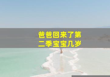 爸爸回来了第二季宝宝几岁,爸爸回来了第二季嘉宾名单