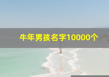 牛年男孩名字10000个,牛年取名字大全男孩