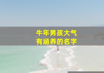 牛年男孩大气有涵养的名字,牛年出生的男孩起什么名字牛气冲天的男生名字推荐