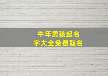 牛年男孩起名字大全免费取名