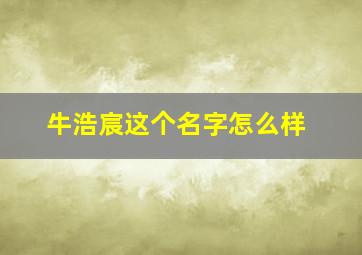 牛浩宸这个名字怎么样,牛浩名字的含义