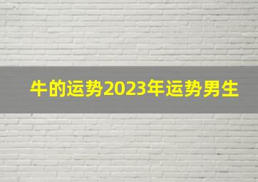 牛的运势2023年运势男生,1985属牛男的人2023年运势及运程