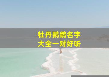 牡丹鹦鹉名字大全一对好听,牡丹鹦鹉名字可爱洋气