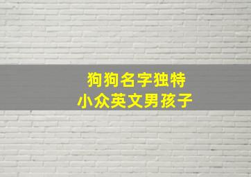 狗狗名字独特小众英文男孩子,独一无二的狗狗名字英文名