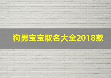 狗男宝宝取名大全2018款,狗宝宝男孩名