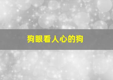 狗眼看人心的狗,狗眼看人心谁演的电影狗眼看人心讲了什么故事