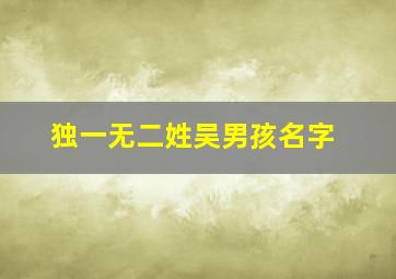 独一无二姓吴男孩名字,男孩怎么起名洋气有内涵姓吴男孩名字大全