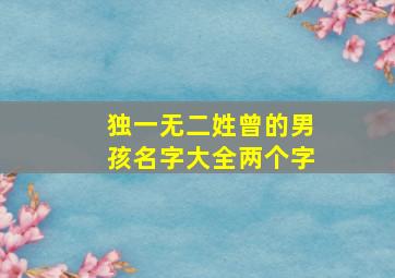 独一无二姓曾的男孩名字大全两个字,姓曾的两个字的名字