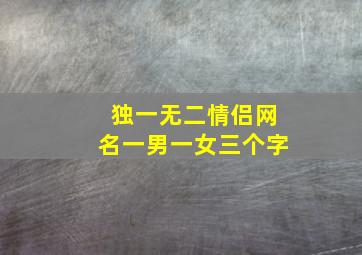 独一无二情侣网名一男一女三个字,情侣名字超甜一对独一无二的情侣名字超甜超宠溺那种