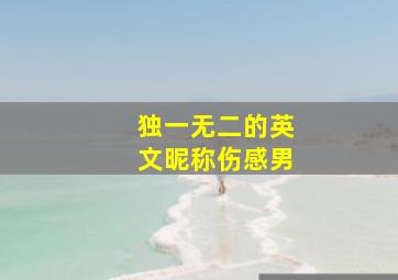 独一无二的英文昵称伤感男,独一无二的英文昵称伤感男生