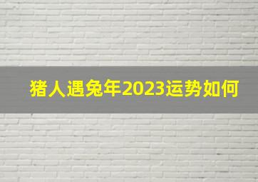 猪人遇兔年2023运势如何,<body>