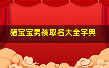 猪宝宝男孩取名大全字典,属猪的取名最佳用哪些字