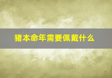 猪本命年需要佩戴什么,生肖猪本命年可以戴猪吗