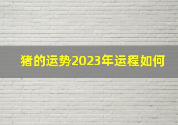 猪的运势2023年运程如何,属猪2023年运势及运程