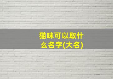 猫咪可以取什么名字(大名),猫可以取什么名?