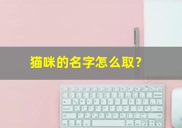 猫咪的名字怎么取？,猫咪的名字怎么取好听男孩