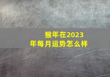 猴年在2023年每月运势怎么样,04年出生的属猴人2023年每月运势总运势