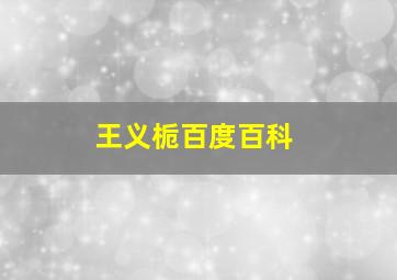 王义栀百度百科,王义桅被实名举报