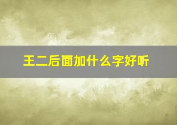 王二后面加什么字好听