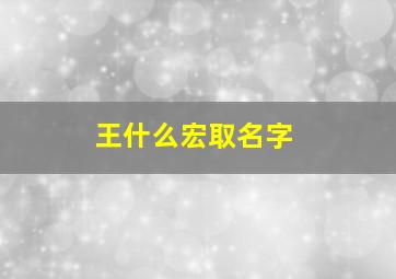 王什么宏取名字,王宏什么名字好听