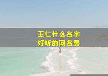 王仁什么名字好听的网名男,王仁这个名字怎么样