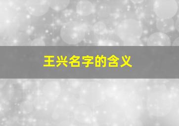 王兴名字的含义