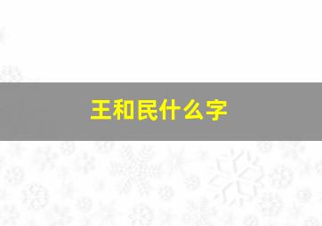 王和民什么字,一个王字一个民字