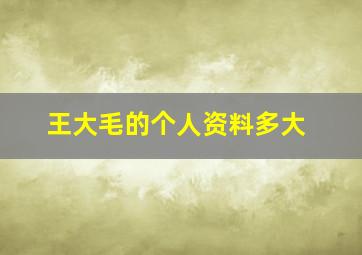 王大毛的个人资料多大,王大毛以前照片