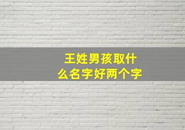 王姓男孩取什么名字好两个字,王姓男孩名字俩字大全