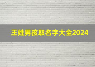 王姓男孩取名字大全2024,王姓男孩取名字大全