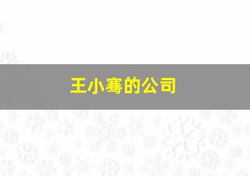 王小骞的公司