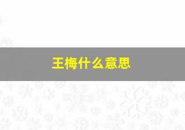 王梅什么意思,王梅是谁?