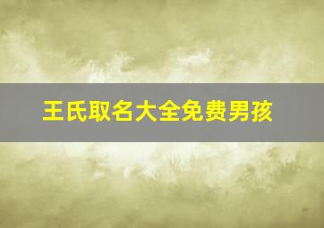 王氏取名大全免费男孩,王姓男孩名字大全