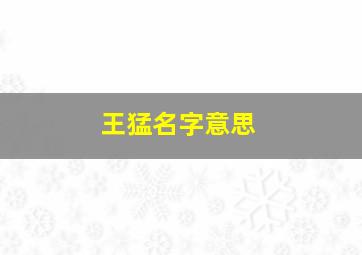 王猛名字意思,王猛名字意思解释