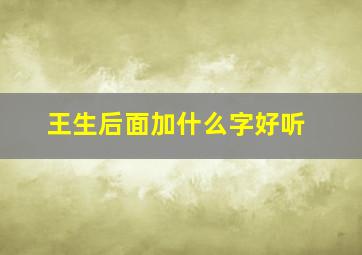 王生后面加什么字好听,王加个生念什么