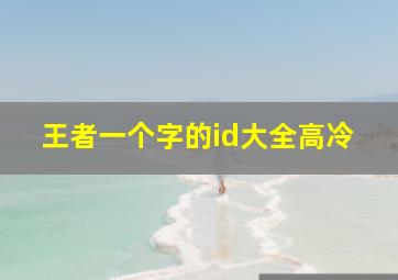 王者一个字的id大全高冷,王者一个字的id大全带符号