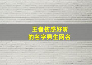 王者伤感好听的名字男生网名,王者超好听的伤感名字