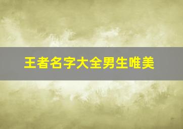 王者名字大全男生唯美,王者名字男生简单气质