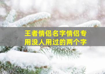 王者情侣名字情侣专用没人用过的两个字,王者情侣名字情侣专用没人用过的